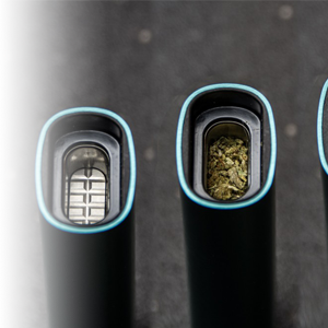 Dry Herb Vaporizers | Discover the BEST Dry Herb Vapes in Australia Australian Vaporizers Dry Herb Vaporizers | Discover the BEST Dry Herb Vapes in Australia Australian Vaporizers