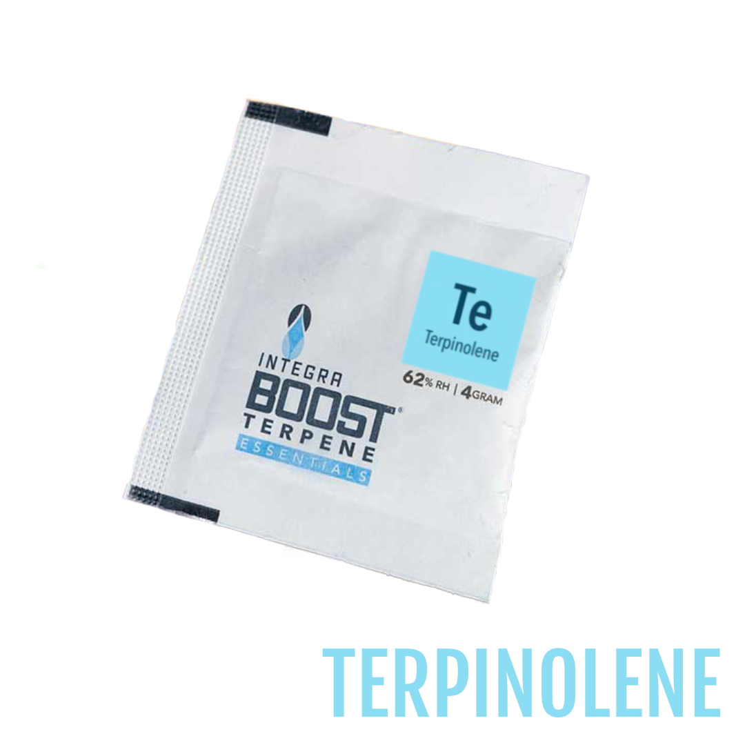 Integra Boost® Terpene Essentials | 62% Humidity Control - Terpinolene (4 gram)