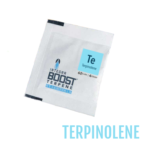 Integra Boost® Terpene Essentials | 62% Humidity Control - Terpinolene (4 gram)