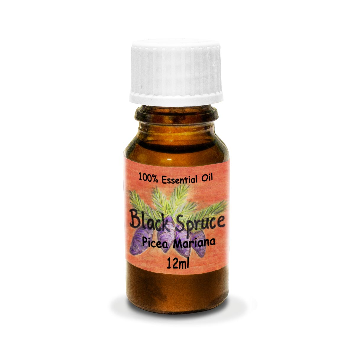Black Spruce - Essential Oil