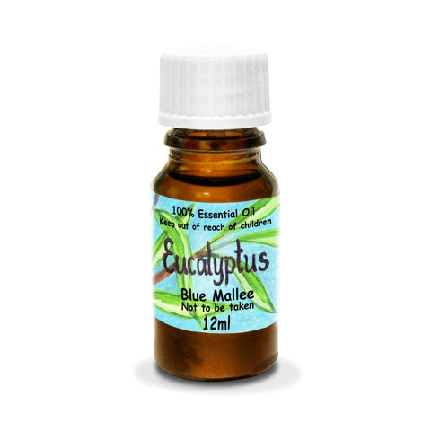 Eucalyptus - Essential Oil